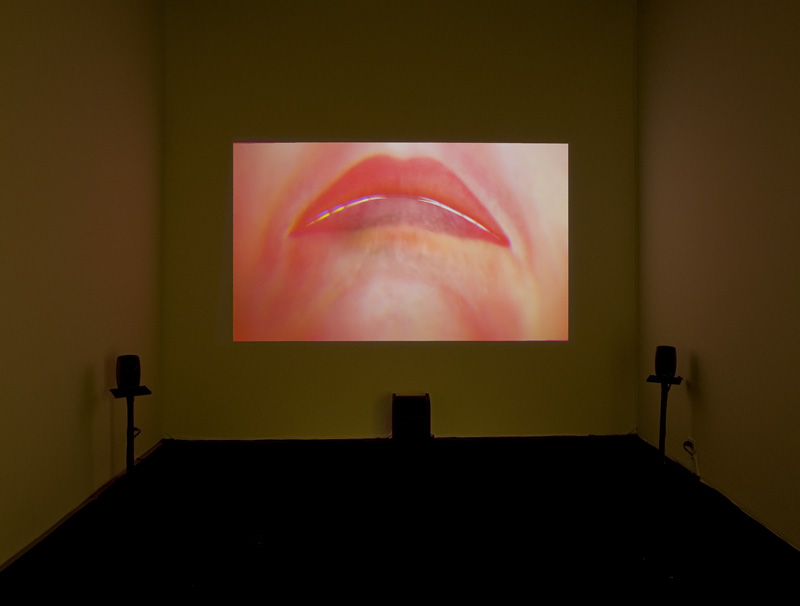 EA001-A Tumor-install-1-web.jpg